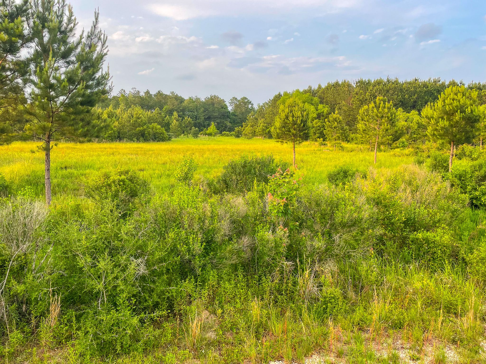 LandTrust