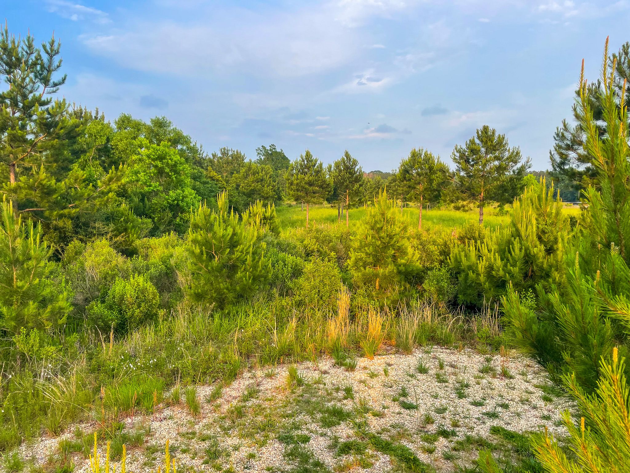 LandTrust