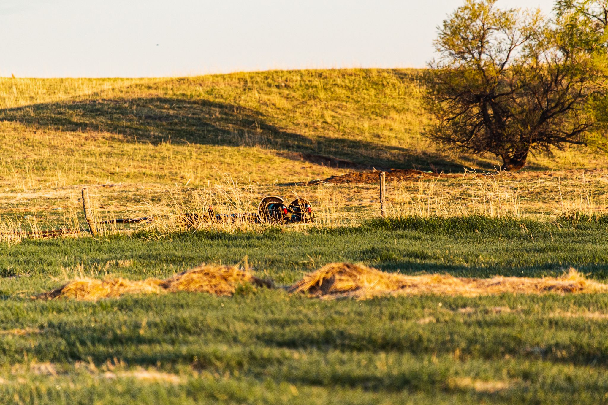 LandTrust